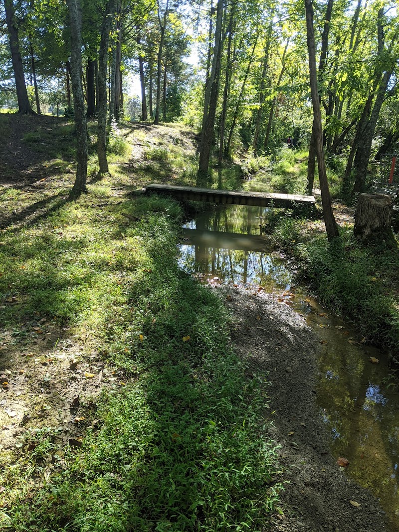 Carl Yearwood Park photo 1