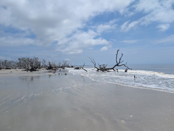 Botany Bay Road 1