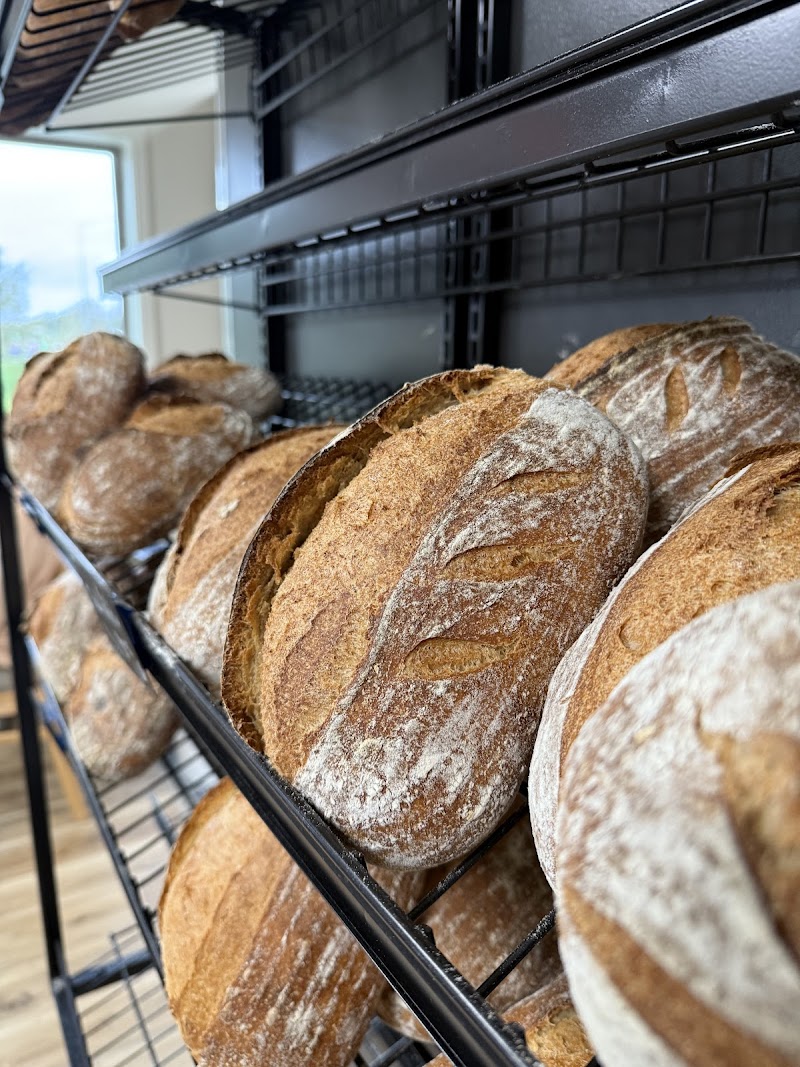 Lekker Coffee and Baking Co. photo 4