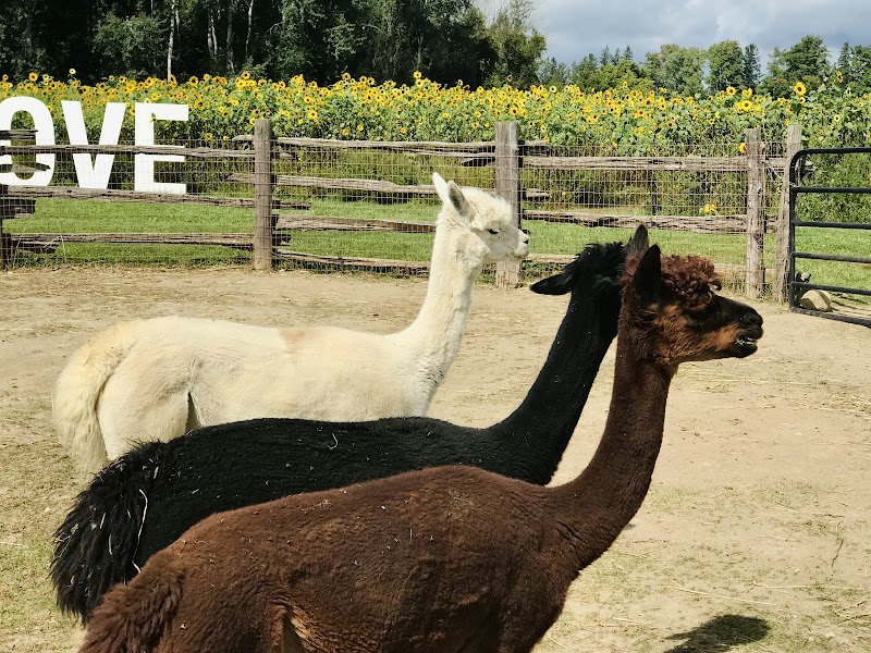 The Fieldstone Barn photo 4