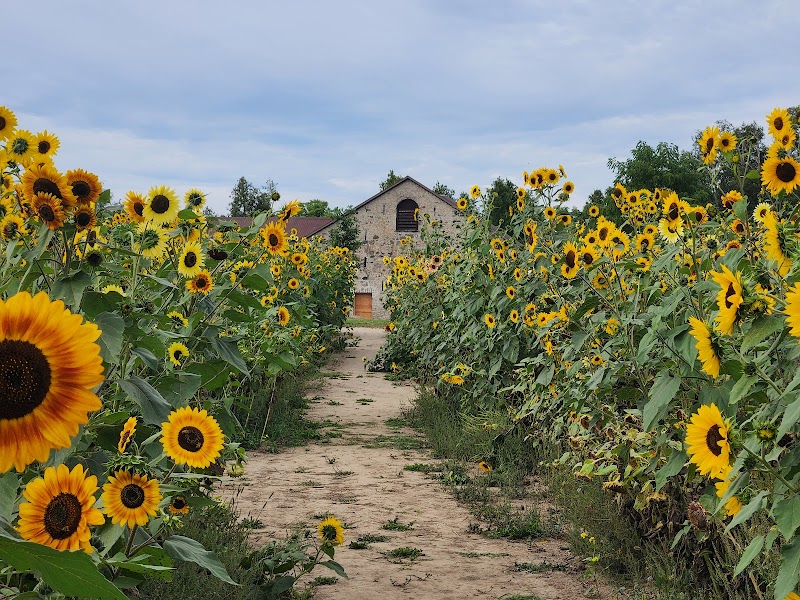 The Fieldstone Barn photo 2