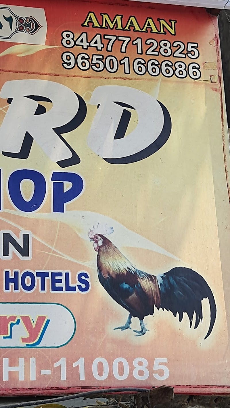 STANDARD HALAL MEAT SHOP photo 6