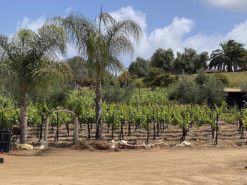 Bernardo Winery photo 4