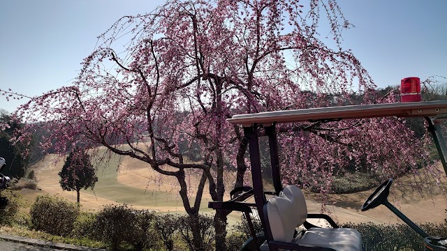 Kasugadai Country Club - Photo 7