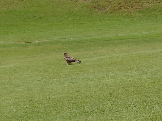 Kasugadai Country Club - Photo 5