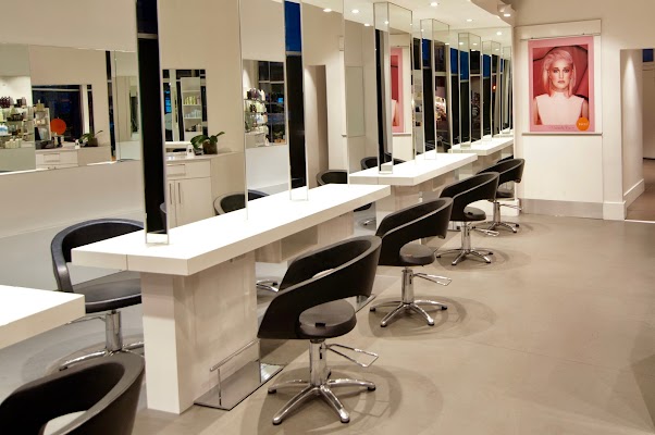 Zucci Ivanhoe photo 2