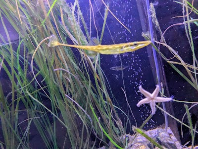 Ostseestation Travemünde