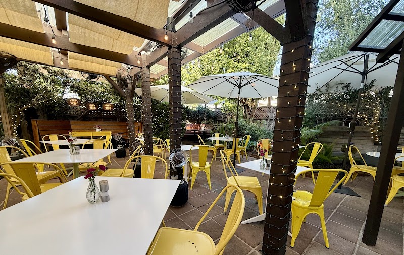 Sunflower Caffé photo 2