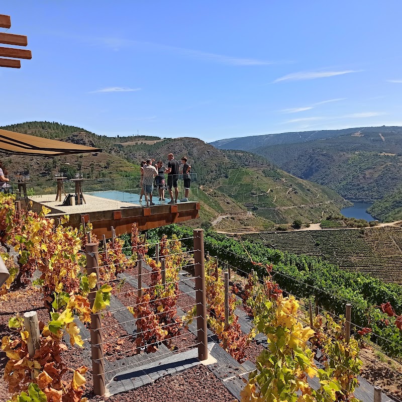 Bodegas Regina Viarum