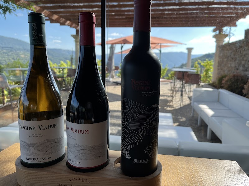 Bodegas Regina Viarum photo 5