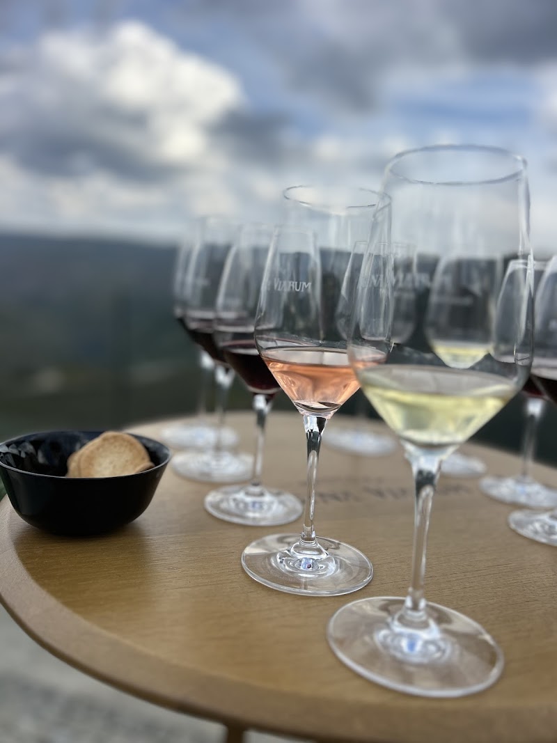 Bodegas Regina Viarum photo 3