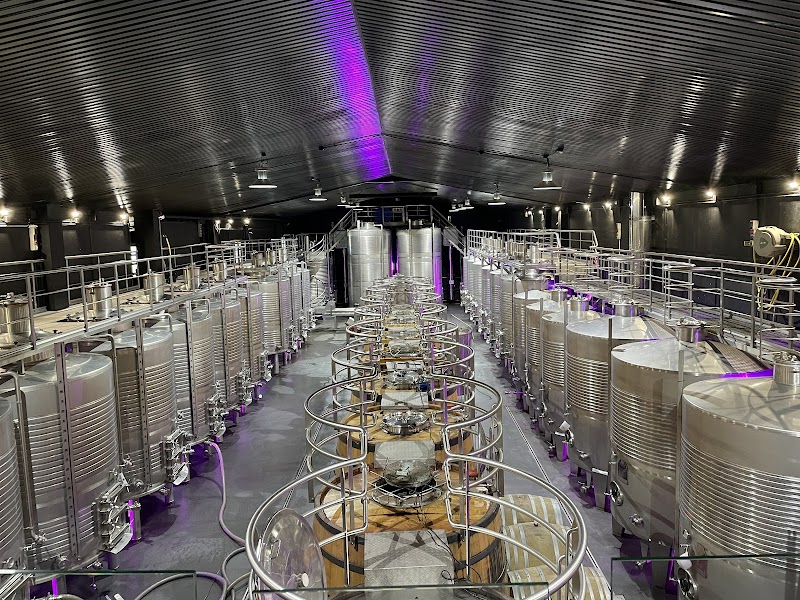 Bodegas Regina Viarum photo 2