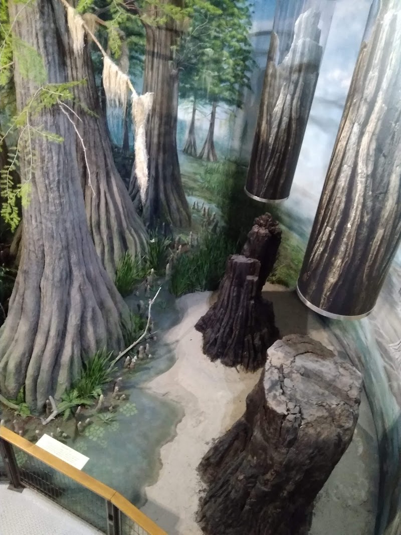 Музей Отто Германа