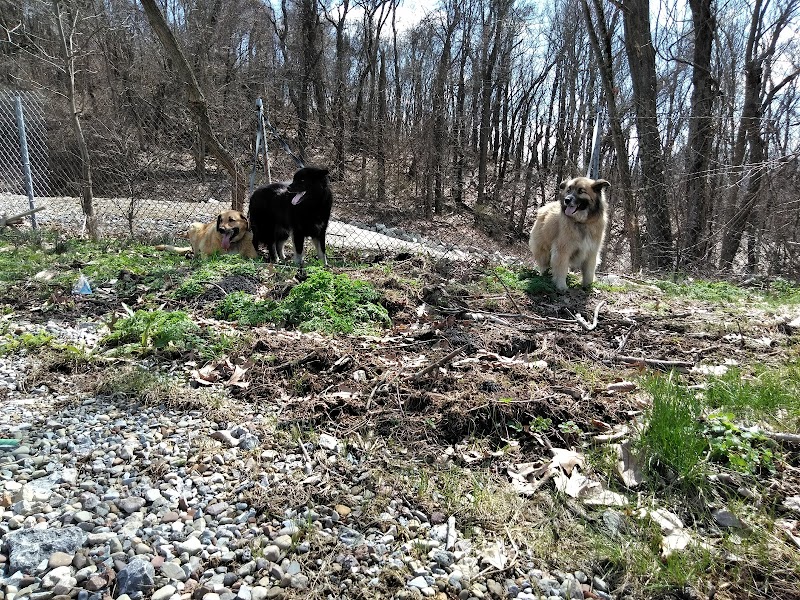 Denny Park photo 4