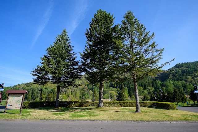 Madarao Tokyu Golf Club - Photo 7