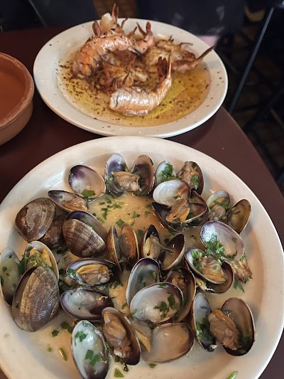 Cervo's photo 3