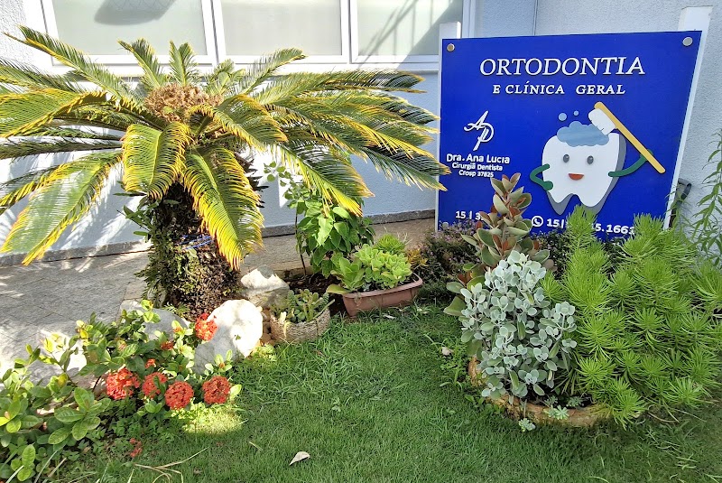 Dentista Dra. Ana Lúcia Domingues - foto 4