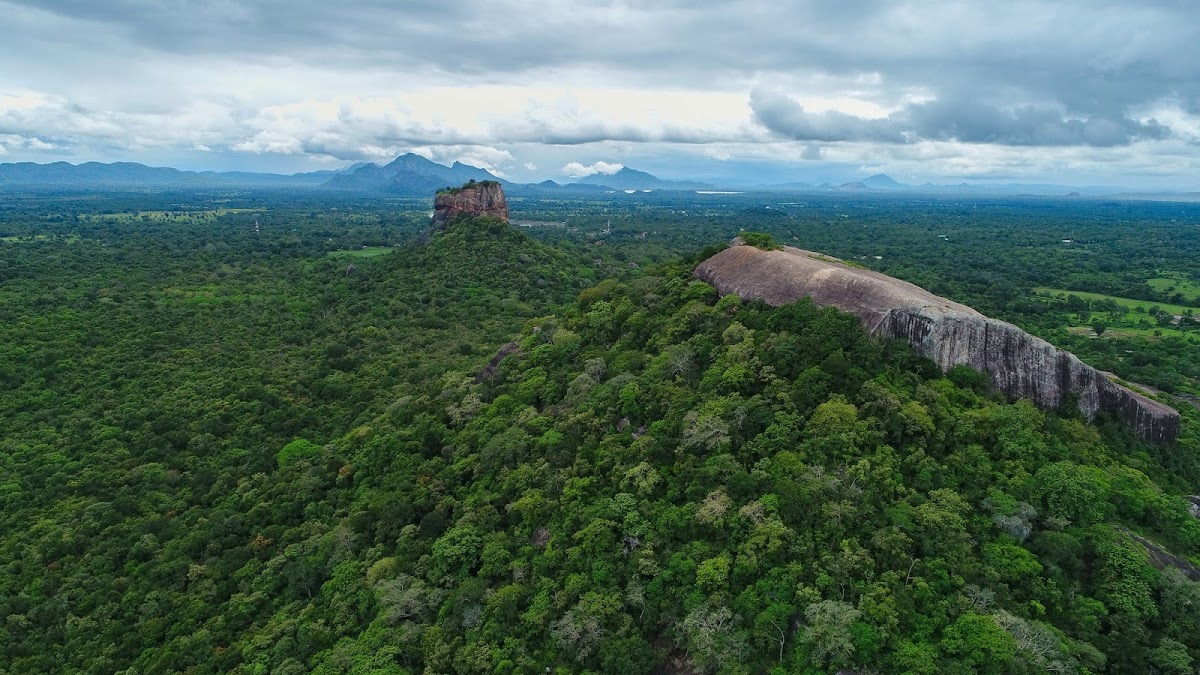Back of Beyond - Jungle Hideaway — 4
