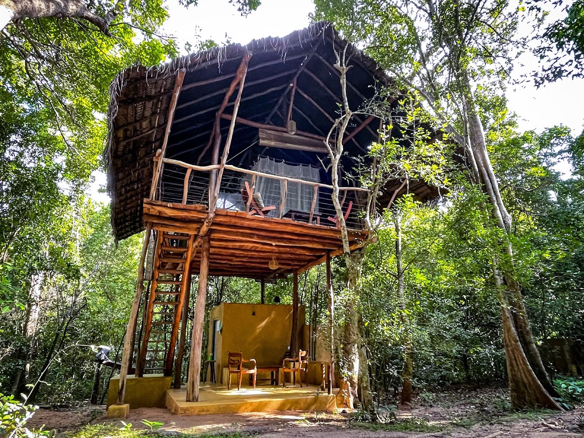 Back of Beyond - Jungle Hideaway