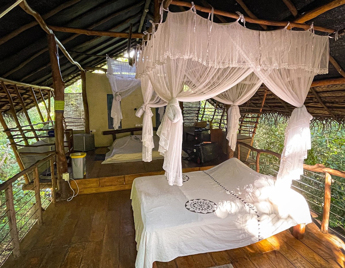 Back of Beyond - Jungle Hideaway — 3