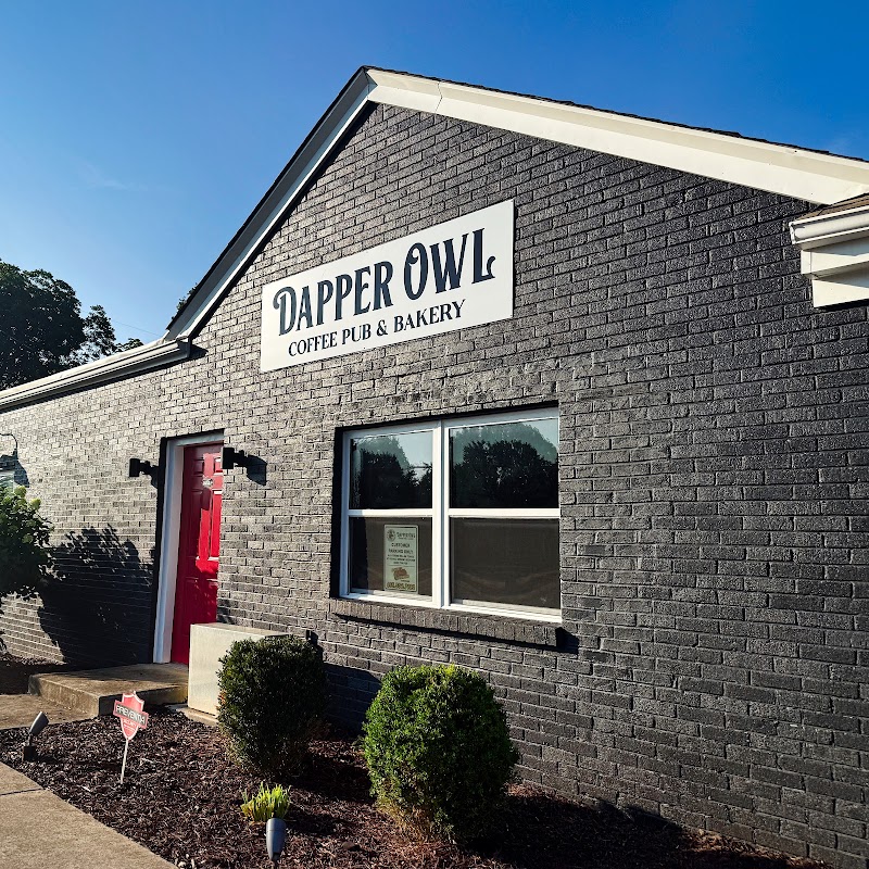 Dapper Owl photo 4