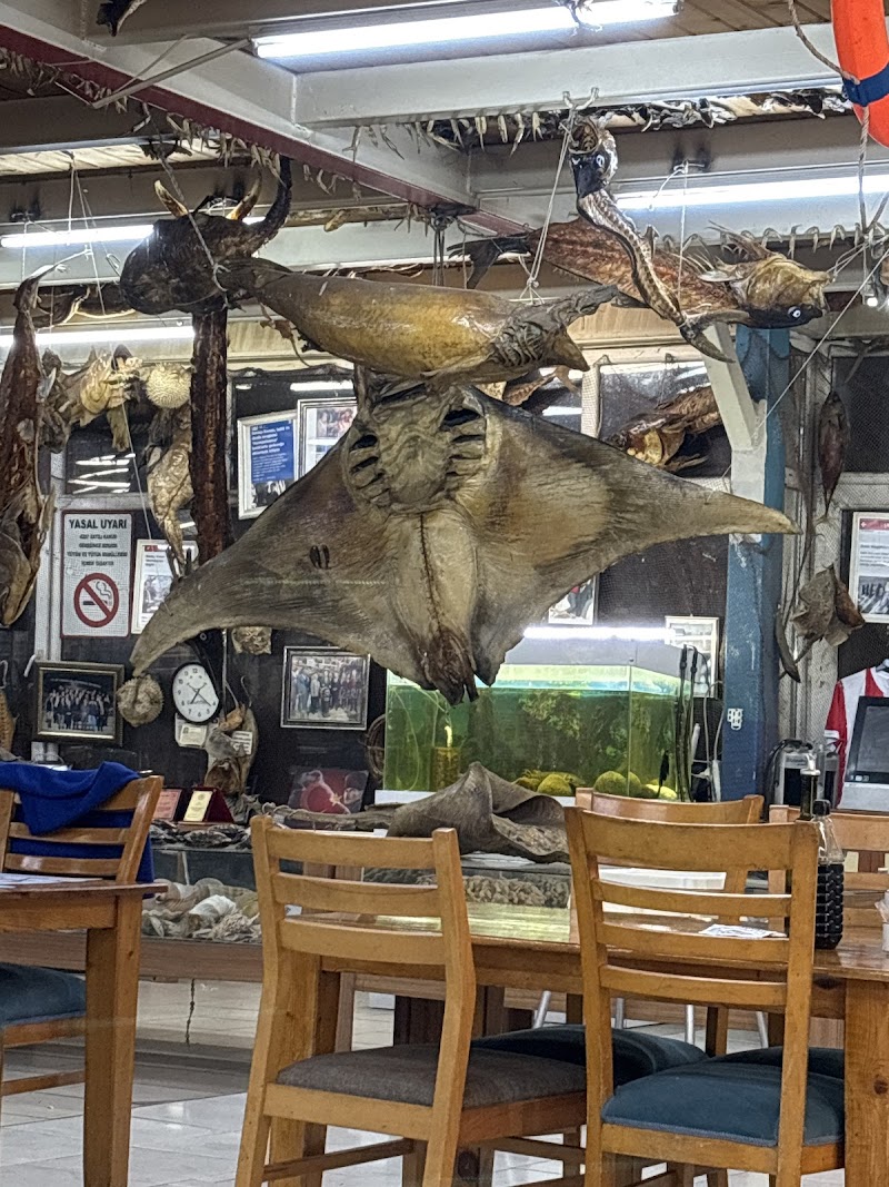 Balıkçı Kenan - Beylikdüzü Restoran