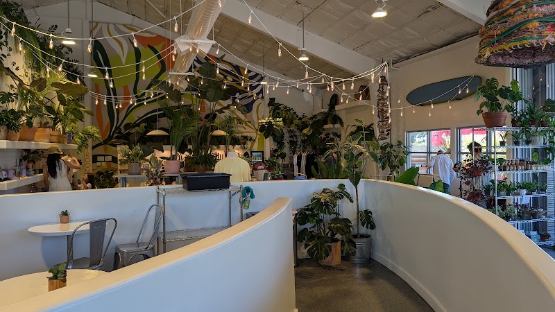 The Power Plant Coffee photo 2