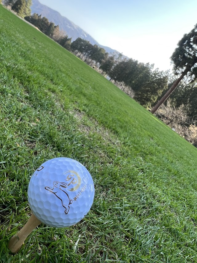 Tanayama Golf Club - Photo 5