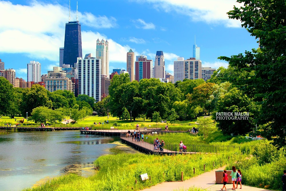 Nature Boardwalk at Lincoln Park Zoo fotoğraf 1