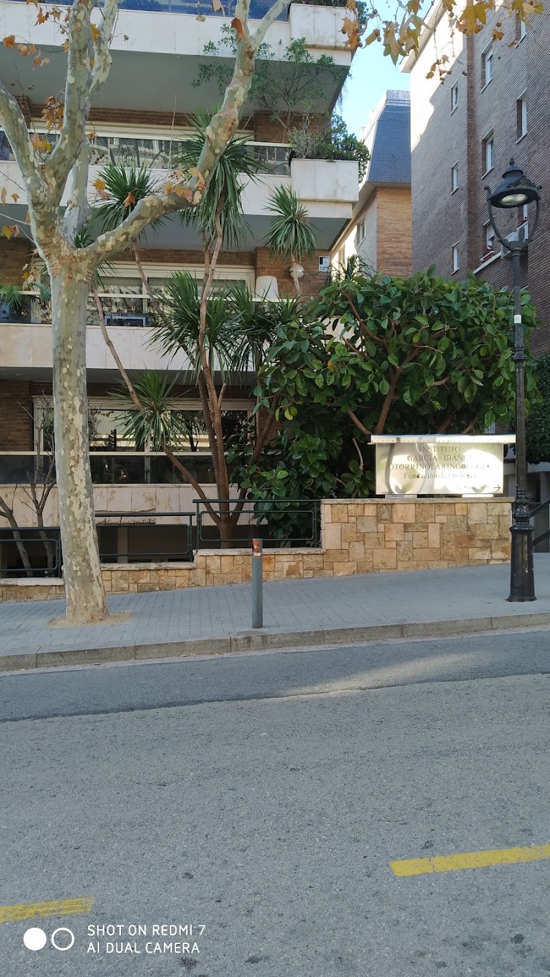Gallery 5