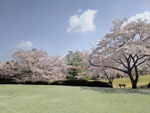 Fuji Royal Country Club - Photo 6