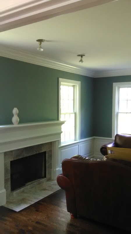 Painting Pro RL Custom LLC project 6