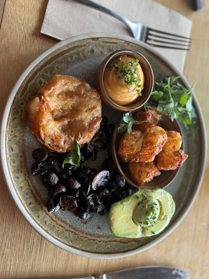 LOLAS Darby St photo 4