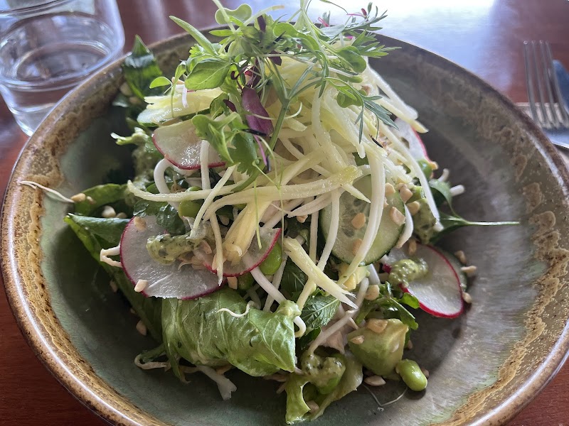 LOLAS Darby St photo 10