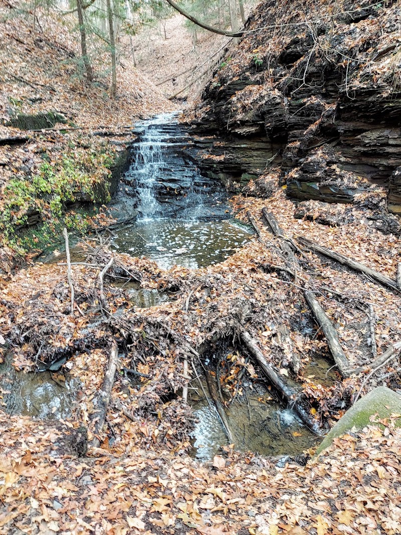 Chestnut Ridge Park photo 5