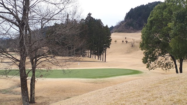 Golf Club Golden Wood - Photo 5