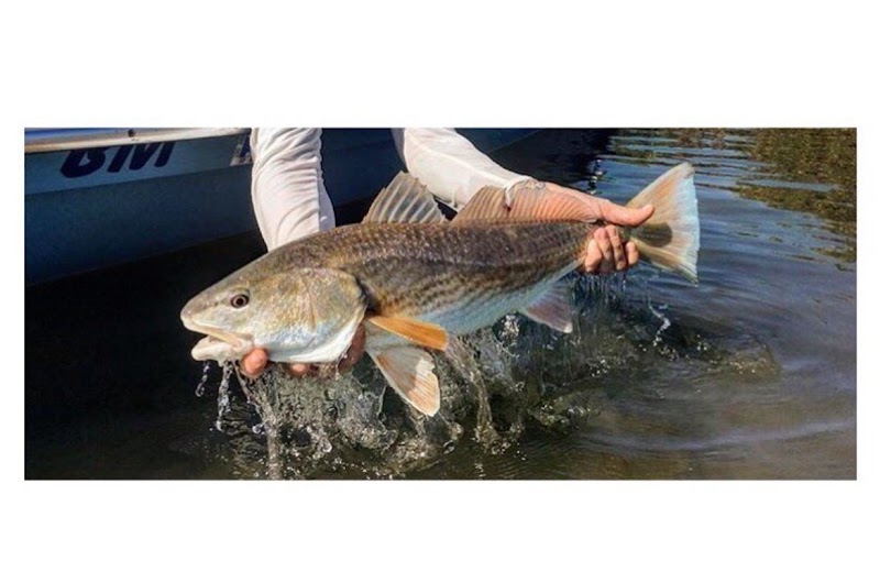 Salt Sessions Fishing & Surf Adventures