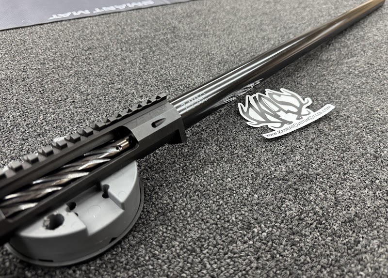 Wicked Guns photo