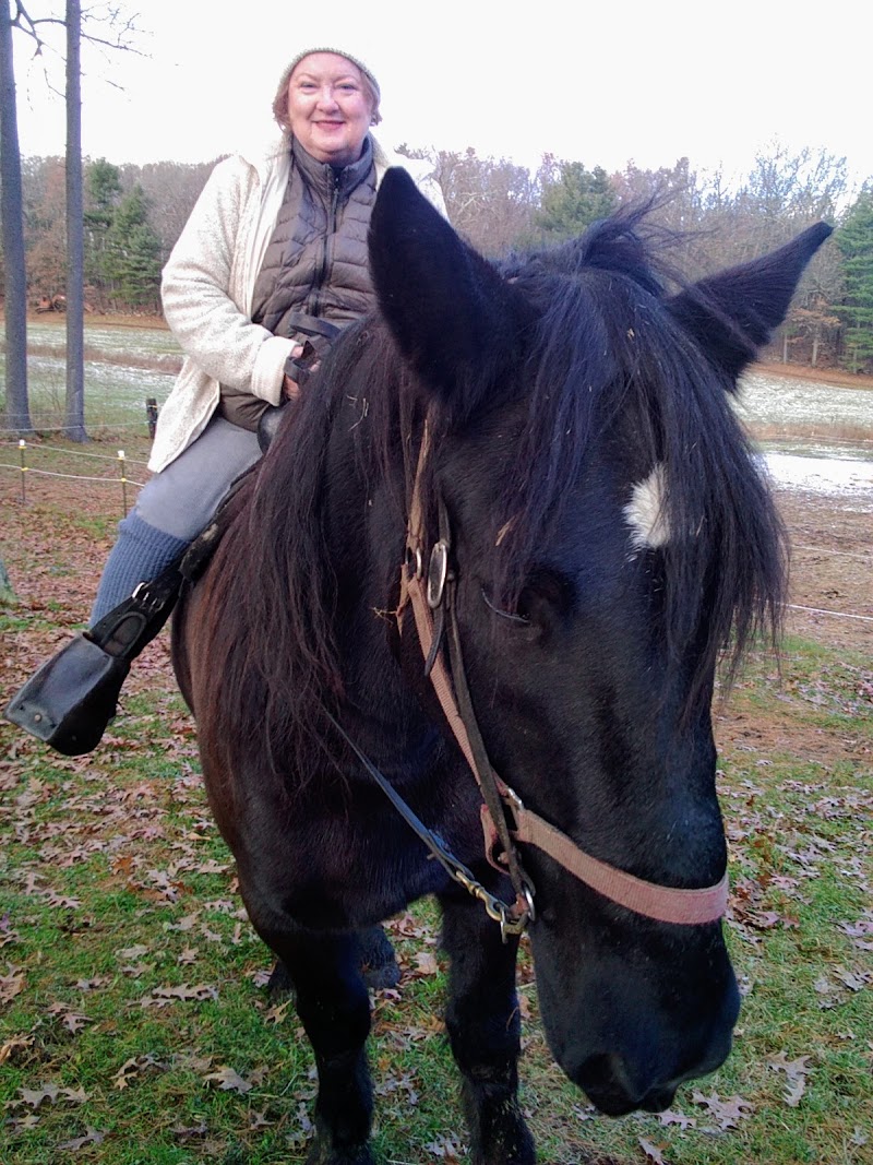 Bobby's Ranch - Photo 6