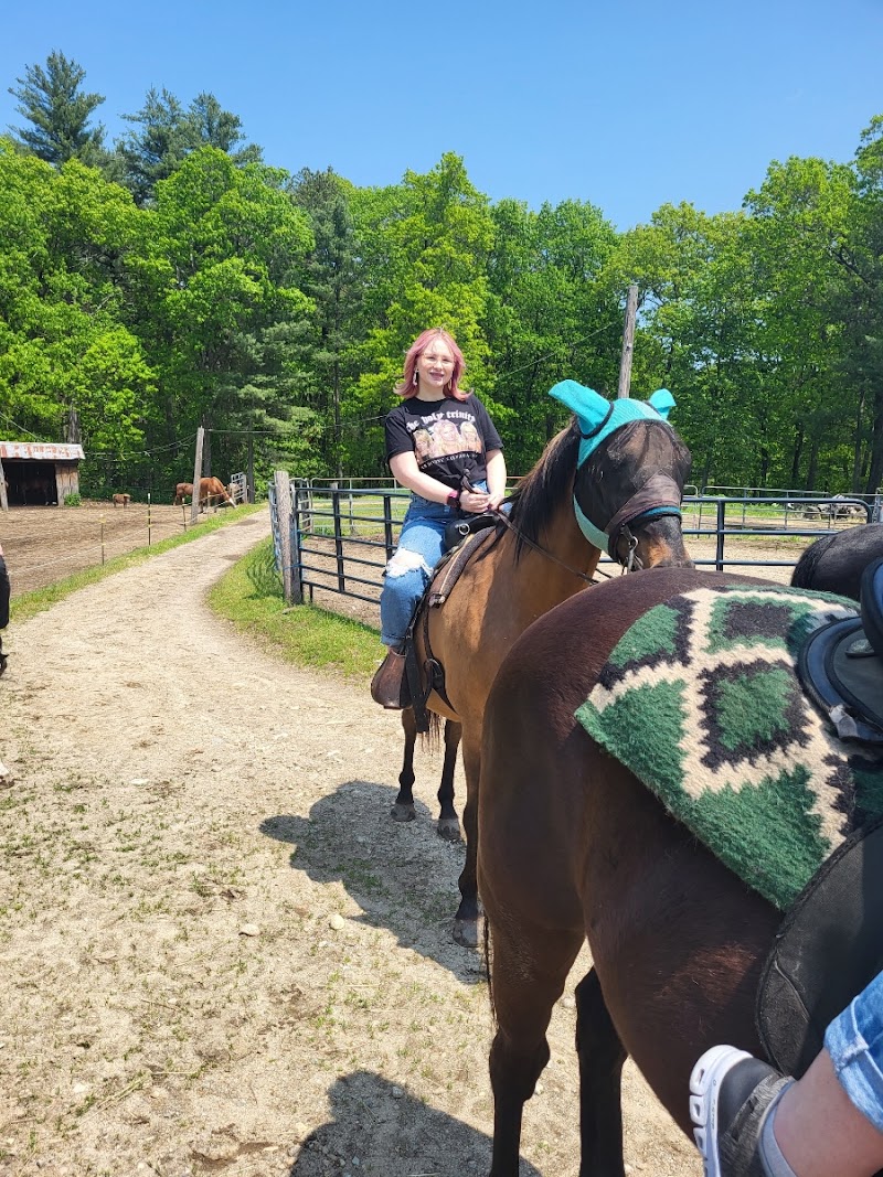 Bobby's Ranch - Photo 3