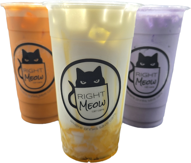 Right Meow Cat Cafe photo 2
