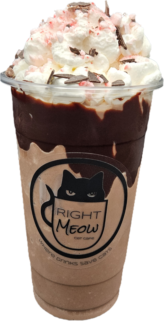 Right Meow Cat Cafe photo 2