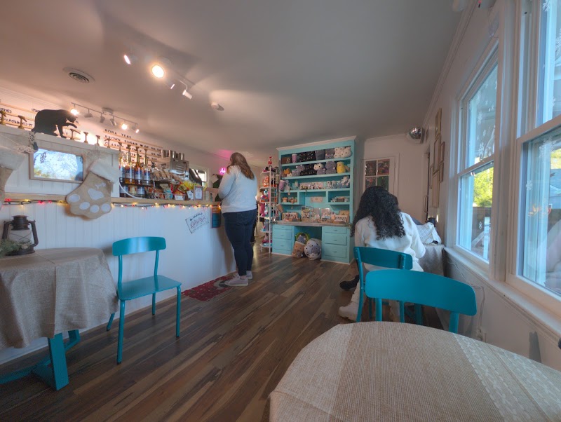 Right Meow Cat Cafe photo 1