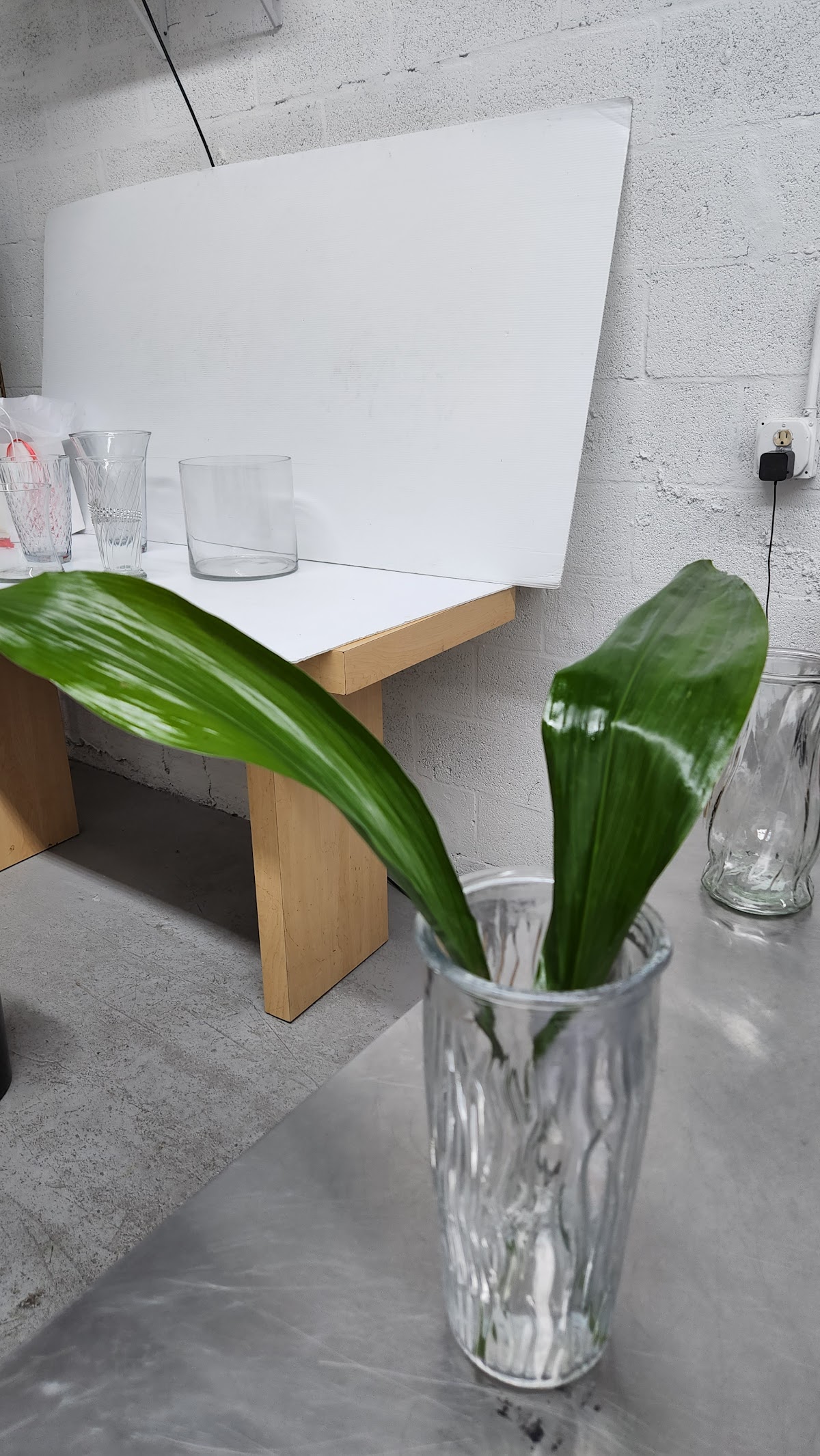 YOLA GUZ's School of Floral Design: Google Places image 4