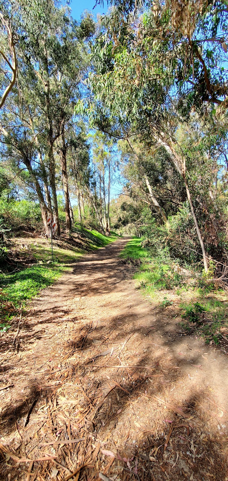 Hanns Park Disc Golf Course photo 5