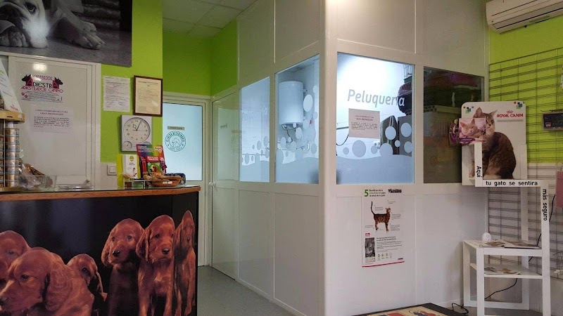 Clínica Veterinaria Santa Clara