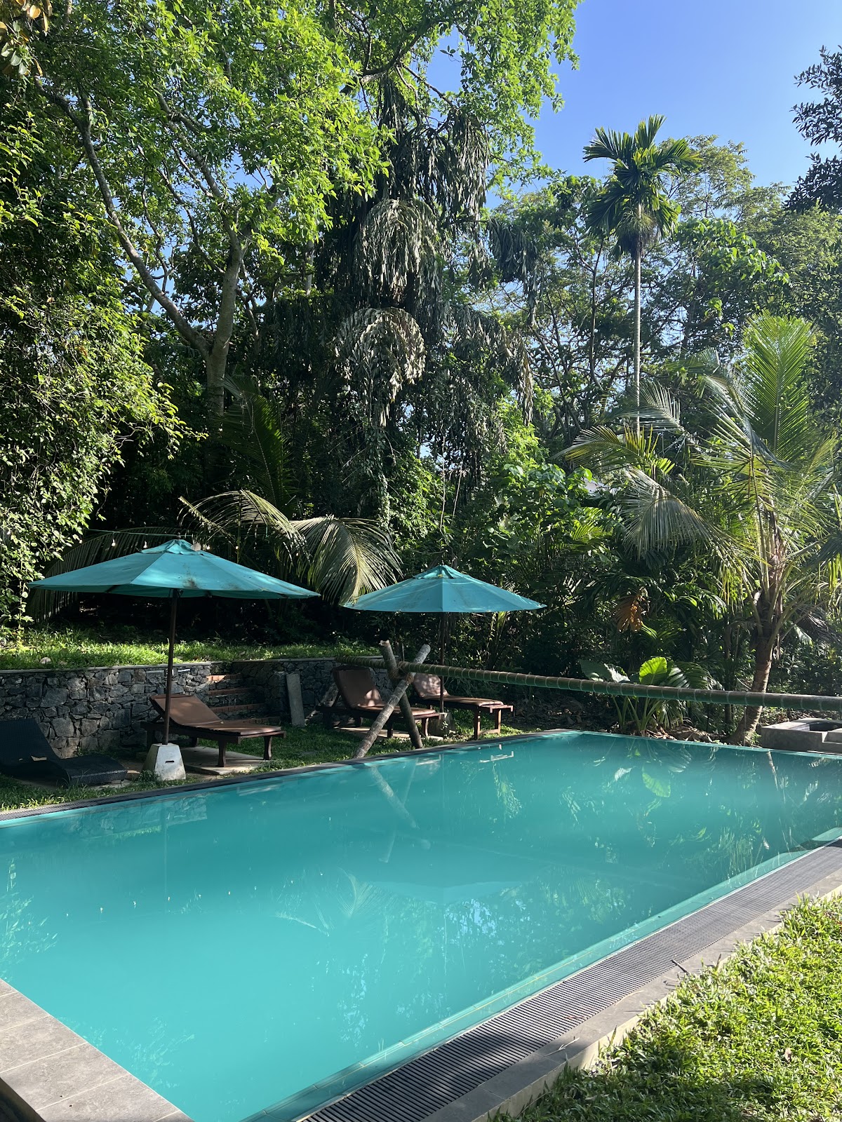 Surf & Yoga, Sri Lanka 〰 All Inclusive Surf Camp & Yoga Retreat in Sri Lanka — 4