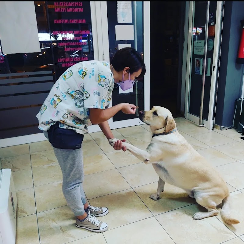 Veter Sana veterinarios