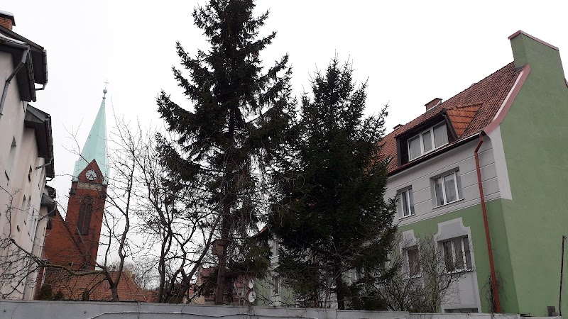 Кирха Розенау (Храм Покрова Пресвятой Богородицы) — фото 5