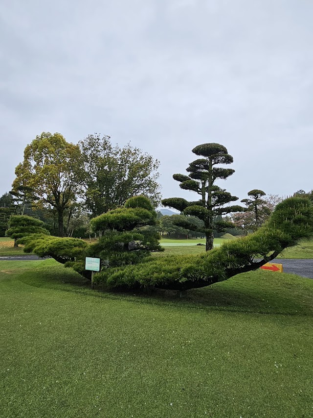 Yatsushiro Golf Club - Photo 9